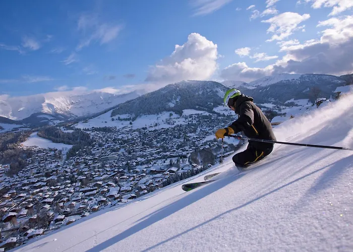 2 Pieces Au Rez-de-chaussee - Animaux Admis - Pres Des Pistes - Fr-1-453-91 *